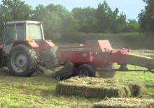 Presse per grandi imballaggi + Presse ad alta pressione Massey Ferguson MF 1839