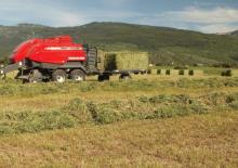 Presse per grandi imballaggi + Presse ad alta pressione Massey Ferguson MF 2190 SP