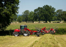 Ranghinatori rotativi Massey Ferguson RK1254 TRC