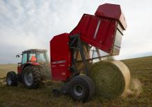 Rotopresse Massey Ferguson 2956 A