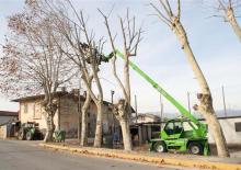 Sollevatori telescopici con torretta girevole Merlo Roto 38.16 S