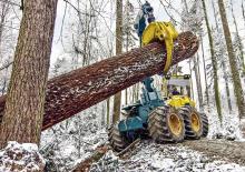 Trattori forestali speciali HSM 904 6WD