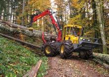 Trattori forestali speciali Welte W 230