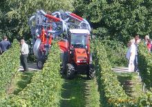 Trattrici agricole - trazione a 4 ruote Dexheimer 510 Si