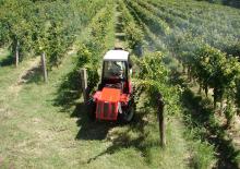 Trattrici agricole - trazione a 4 ruote Pierre P 796 V EVO