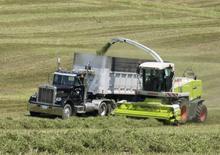 Trinciapaglia - trazione a 2 ruote Claas Jaguar 890