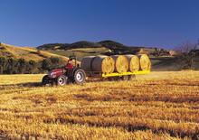 Trattrici agricole - trazione a 4 ruote McCormick C 80 L