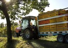 Trattrici agricole - trazione a 4 ruote SAME Frutteto³ S 90.3 DT