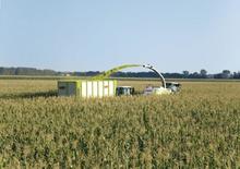 Trinciapaglia - trazione a 4 ruote Claas Jaguar 950
