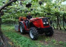 Trattrici agricole - trazione a 4 ruote Massey Ferguson MF 3435-4 S