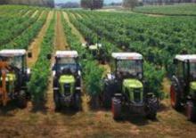 Trattrici agricole - trazione a 4 ruote Claas Nectis 227 F