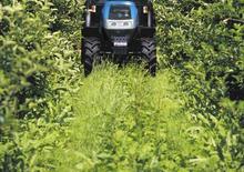 Trattrici agricole - trazione a 4 ruote Landini Rex 90V
