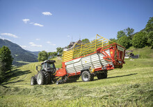 Trinciaforaggi Pöttinger Boss 3190 Master