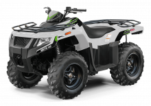 Veicoli fuoristrada & Quad Artic Cat ALETERRA 450