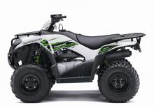 Veicoli fuoristrada & Quad Kawasaki BRUTE FORCE 300 