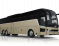 T17 ACRON