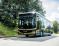 Lionʼs Intercity LE 14