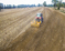 Agromulch 3.00 Silver