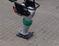 Frosch