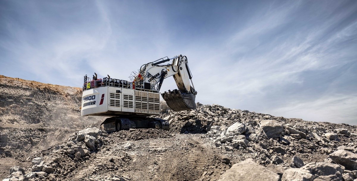 Amazon.co.jp: NZG 1/50 LIEBHERR R9600 ESCAVATORE CINGOLATO